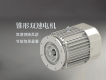 錐形雙速電機(jī)